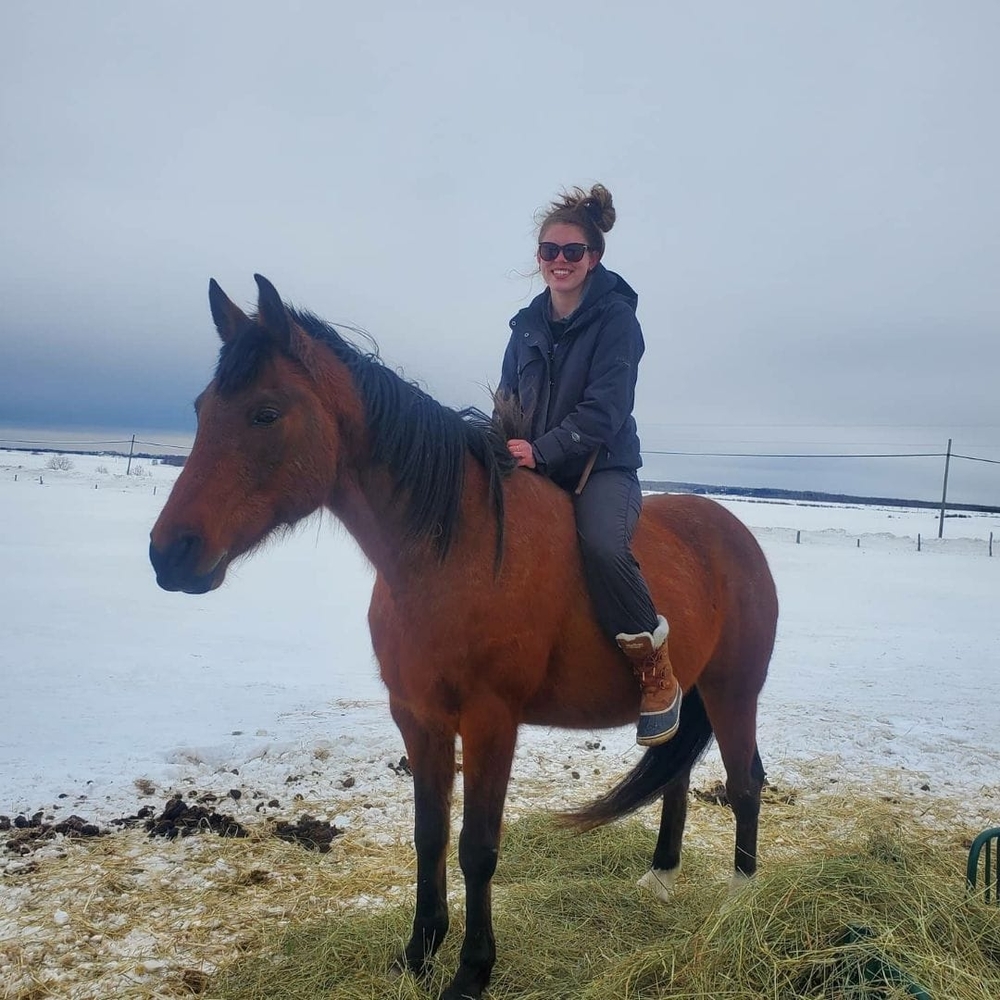 Meet your Posher, Devon